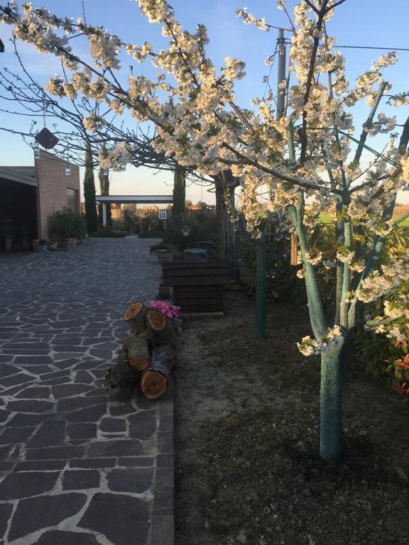 Dolce Casetta Faenza Buitenkant foto