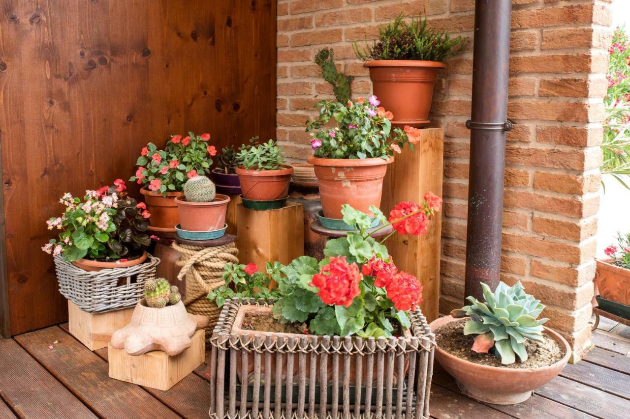 Dolce Casetta Faenza Buitenkant foto